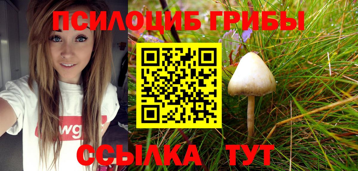 Галлюциногенные грибы MAGIC MUSHROOMS  Вход с VPN  Галлюциногенные грибы Psilocybe  Кизилюрт 